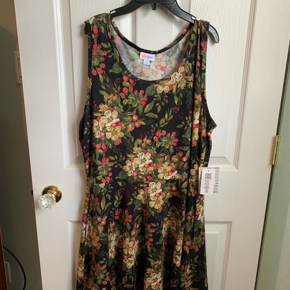 BRAND NEW LLR 2 X Nicki